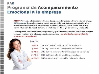 PAE Programa de acompañamiento emocional a la empresa 