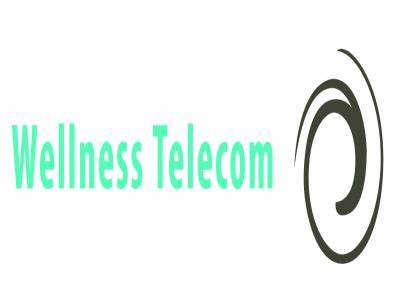 Wellness Telecom nombrada Cool Vendor 2012 por la consultora líder en el sector IT